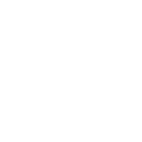 観光･イベント